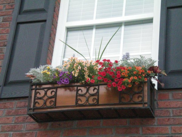 Creative Window Box Flower Ideas