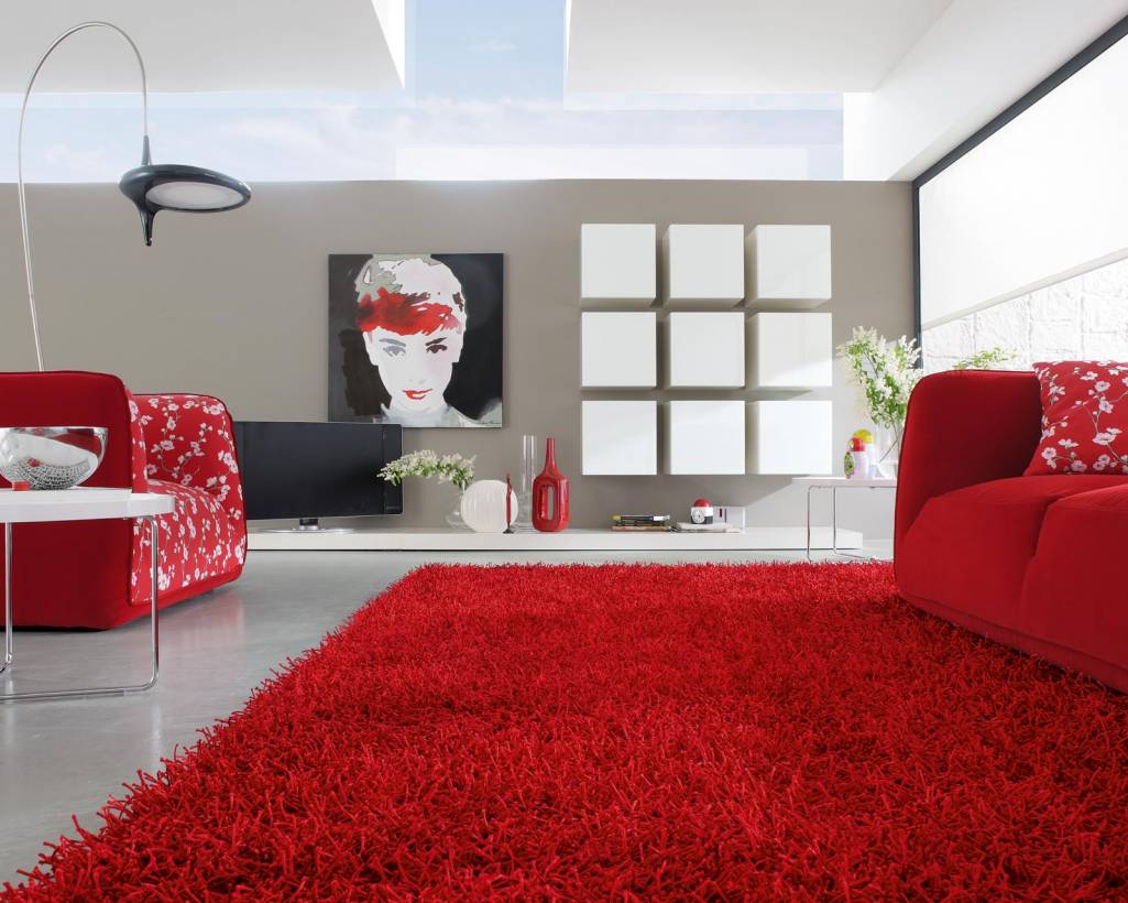 living room rug red