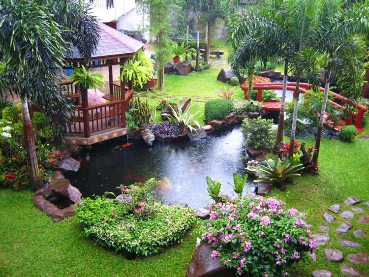 5 Serene Water Garden Ideas for Your Home