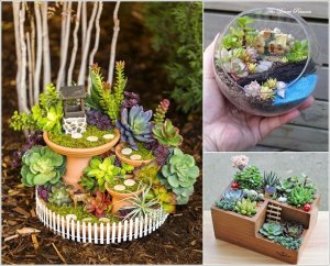 15 Unique Ways To Display Succulents