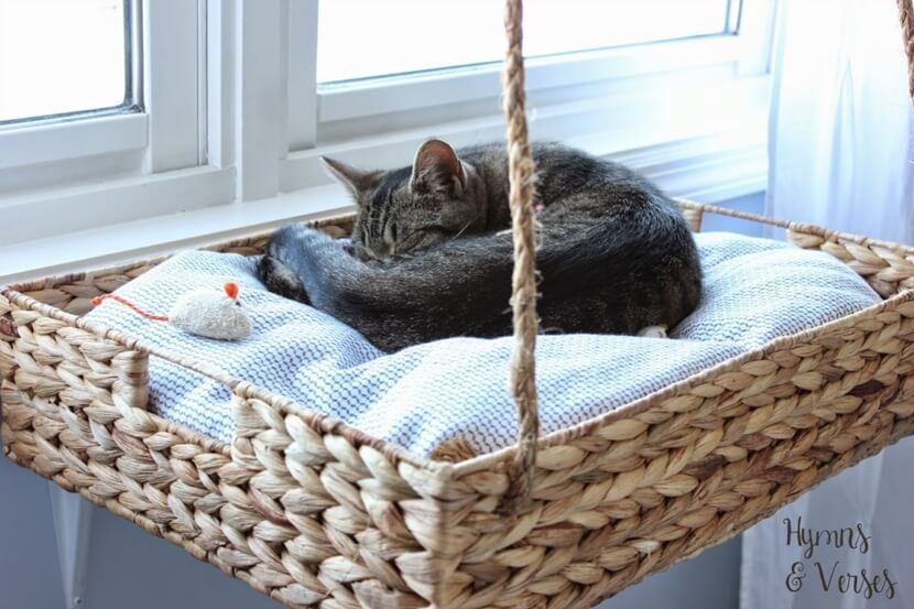 10 DIY Cat Bed Ideas