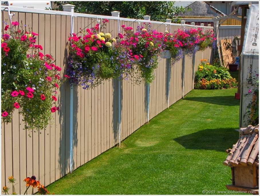 Hanging Flower Baskets with a Pop of Color