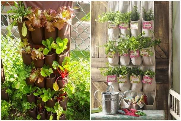 Inventive Shoe Organizer Planters