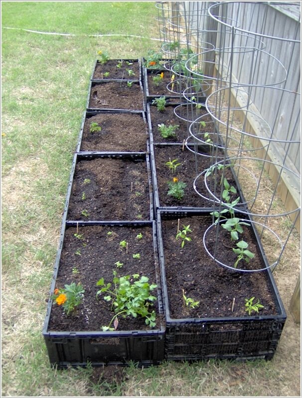 Create Raised Garden Beds and Plant Your Favorite Veggies and Herbs