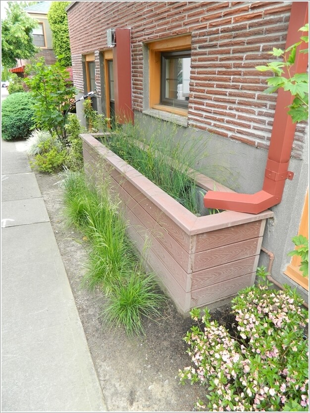Build a Large Planter to Receive Storm Water During Downpour