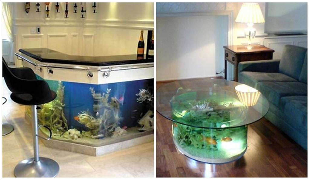Fish Tank Tables…They Hold Alive Tranquility!