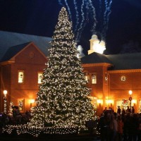 Decorating Your Outdoor Christmas Tree