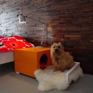 furniture-design-for-pet-lovers-12