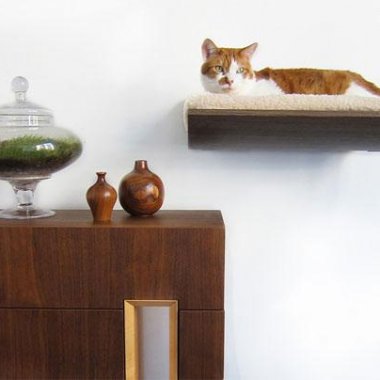 furniture-design-for-pet-lovers-8-1