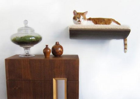 furniture-design-for-pet-lovers-8-1