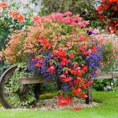 wooden wheelbarrow with flowers