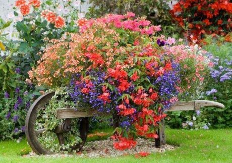 wooden wheelbarrow with flowers