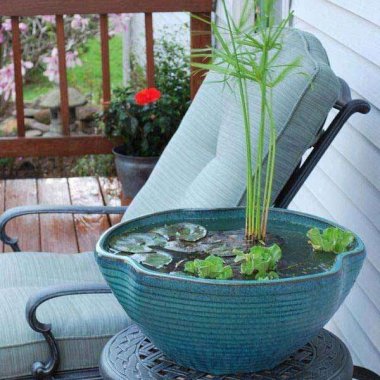 Mini Pond In a Pot