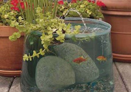 Pop Up Aquarium