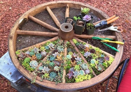 10 Things to Use for Making a Round Garden Bed fi