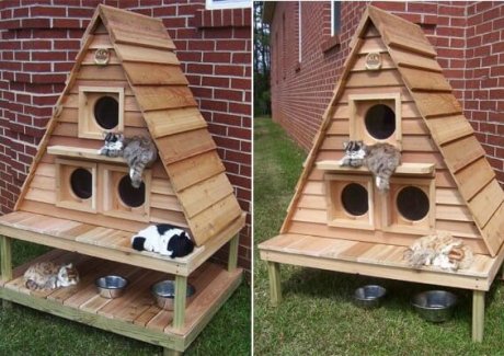 10 Super Cool Cat Houses and Cabins for Your Kitty fi