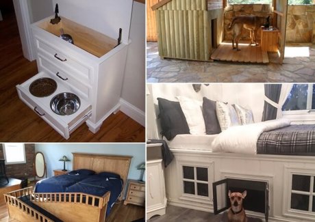 10-cool-diy-pet-projects-for-your-furry-friends-fi