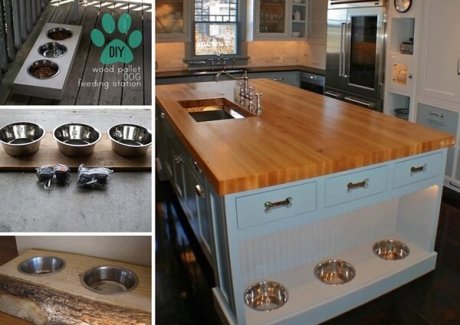 dog-feeding-station-ideas-you-will-like-fi