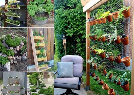 Grow a Wonderful Herb Garden in Your Backyard fi