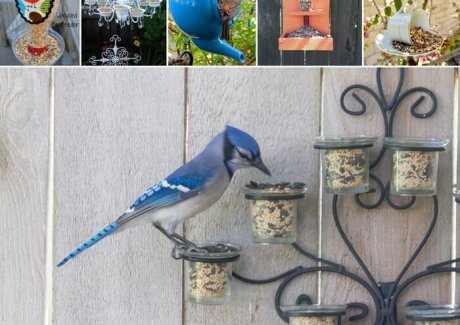 Easy Upcycled Bird Feeders for Your Garden fi