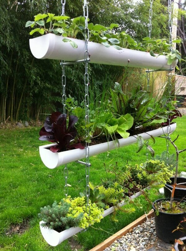 Amazing Gutter Garden Ideas