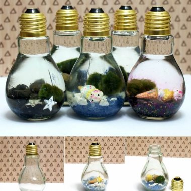 DIY Light Bulb Aquarium fi