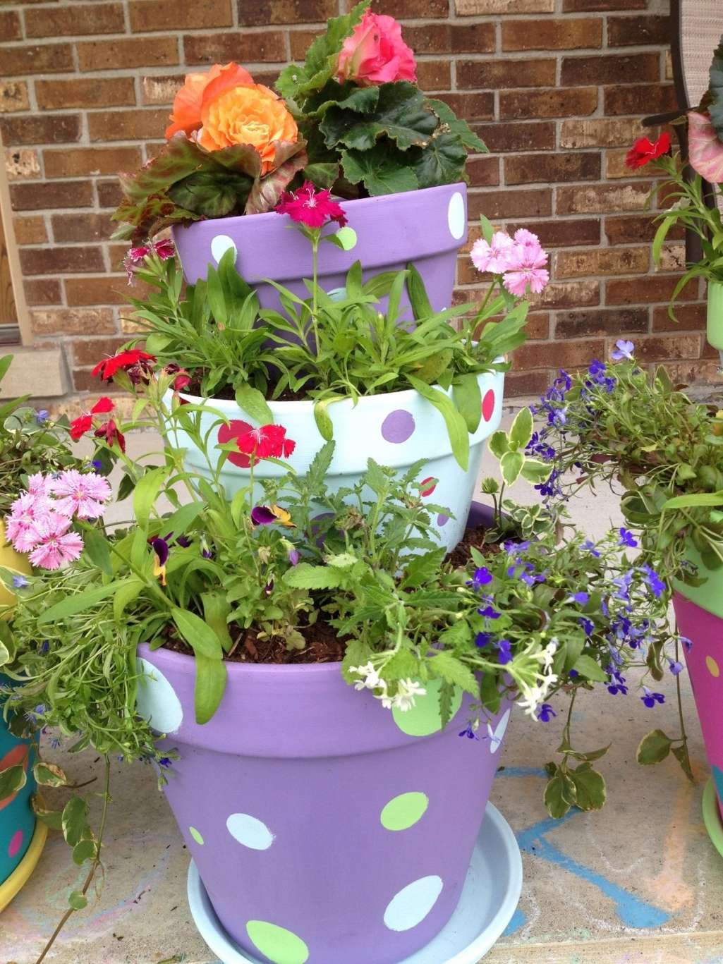 Tiered Planter Ideas