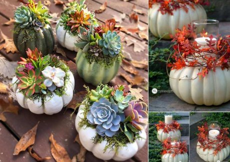 DIY Pumpkin Crafts