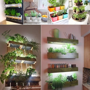 Indoor Kitchen Herb Gardens