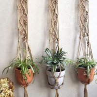 Ways to Hang Plants