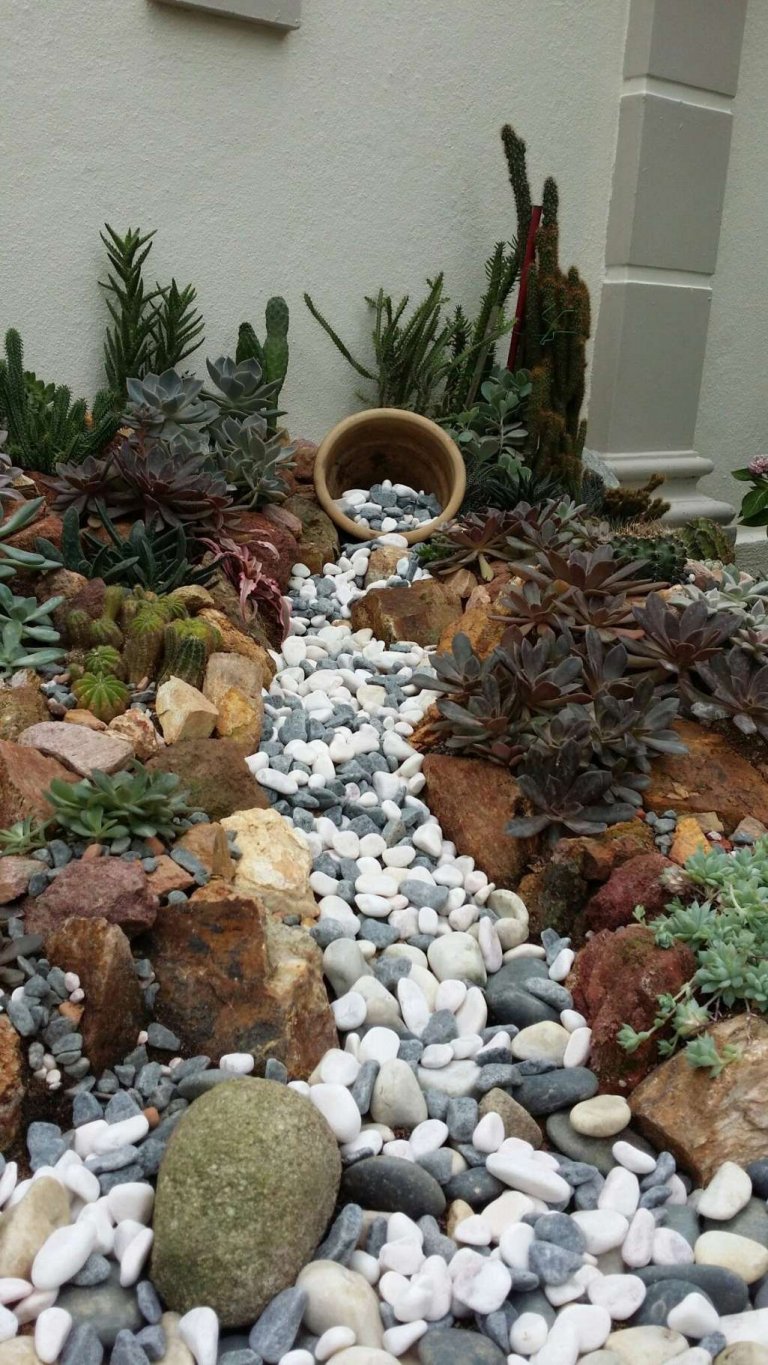 Rock Garden Ideas