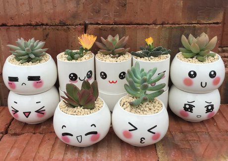 Cute Planter Ideas