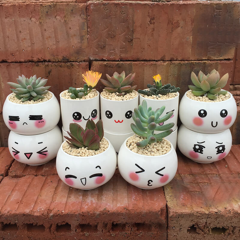 Cute Planter Ideas