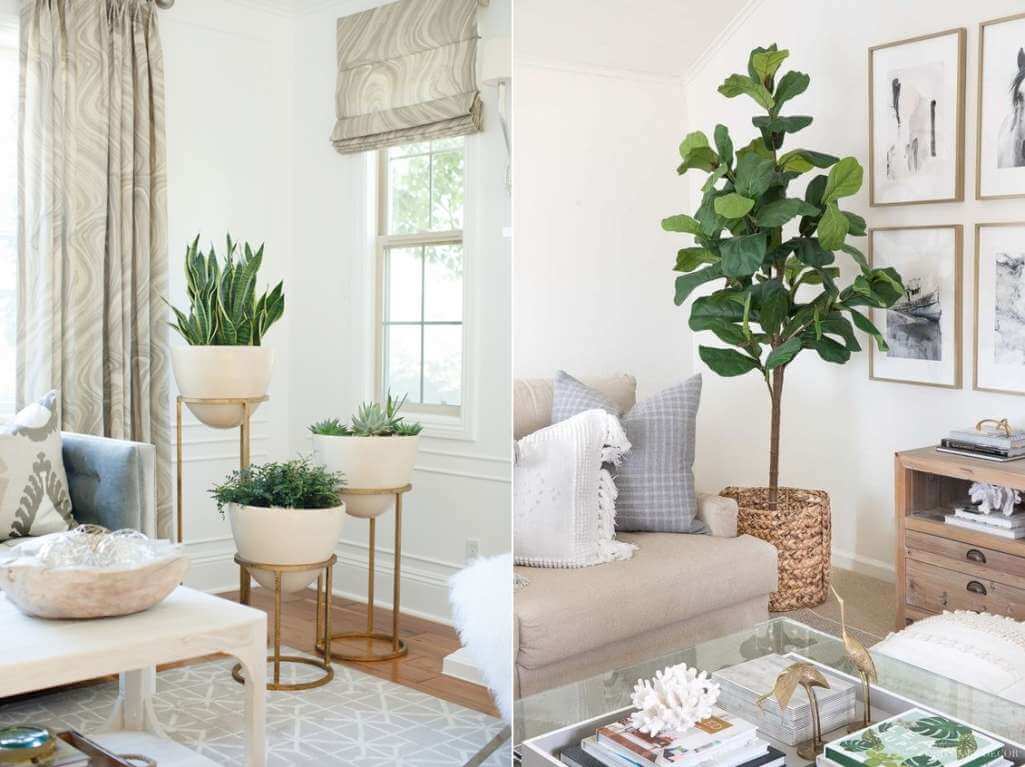 corner tree for living room