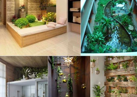 Creative Indoor Garden Ideas