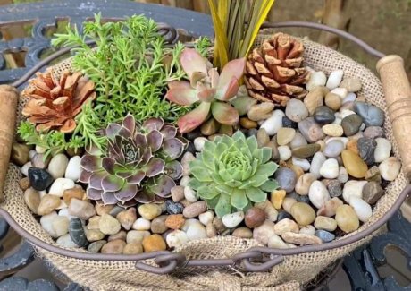 burlap planter