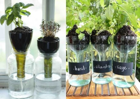 window sill herb garden